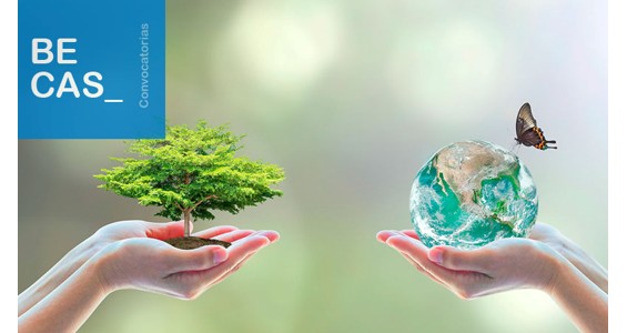 Becas de formación de la Fundación Biodiversidad (Ministerio para la Transición Ecológica y el Reto Demográfico (MITECO) )