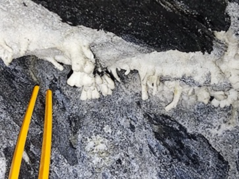 Toma de Muestras de Minerales Secundarios en el Parque Minero de Almadén