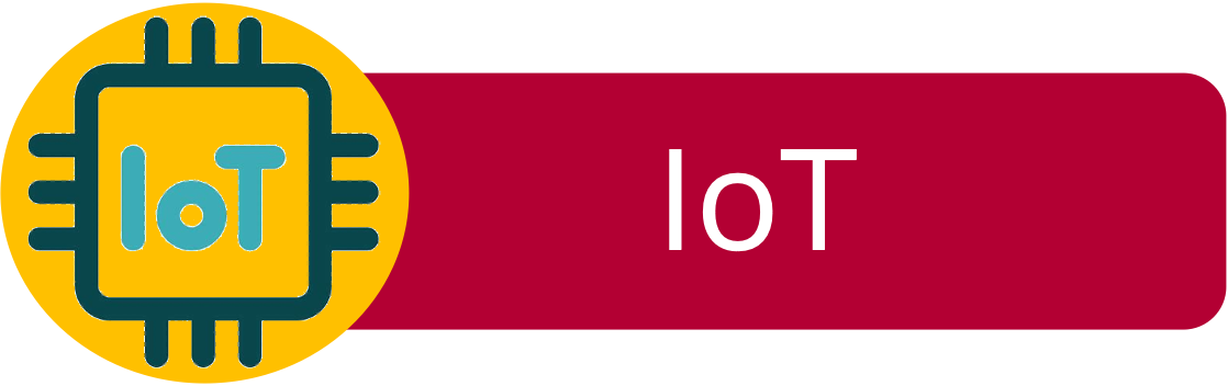 IoT