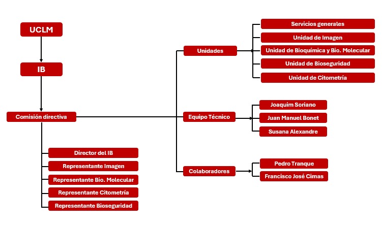 organigrama