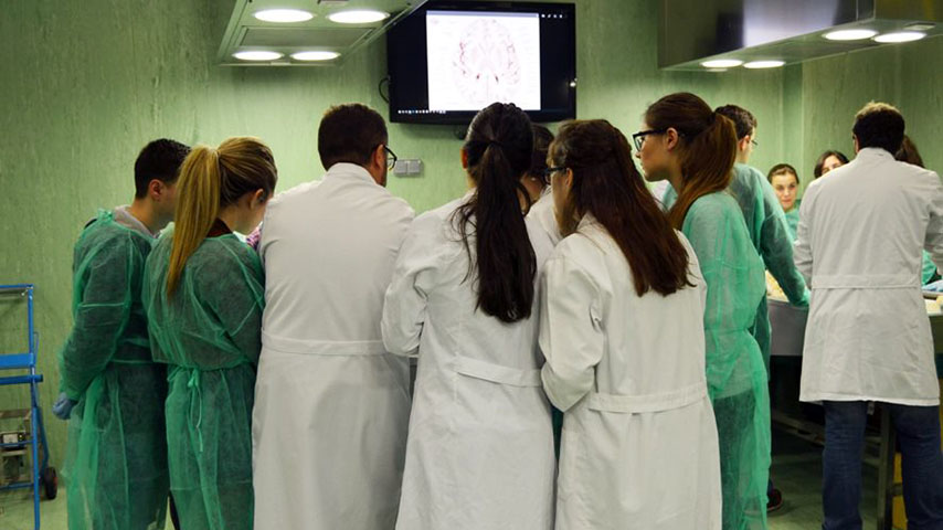 Medicine students in a clinic